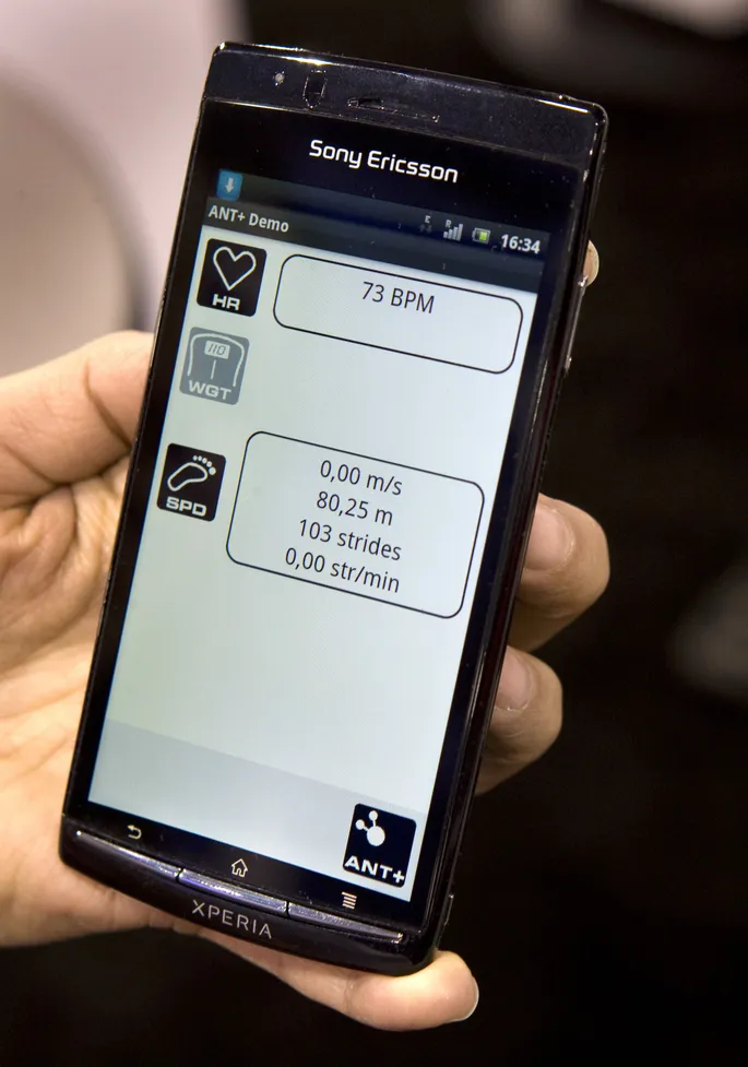 телефон в писе 