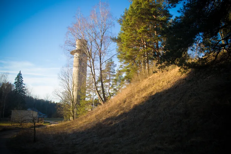 Raksta foto