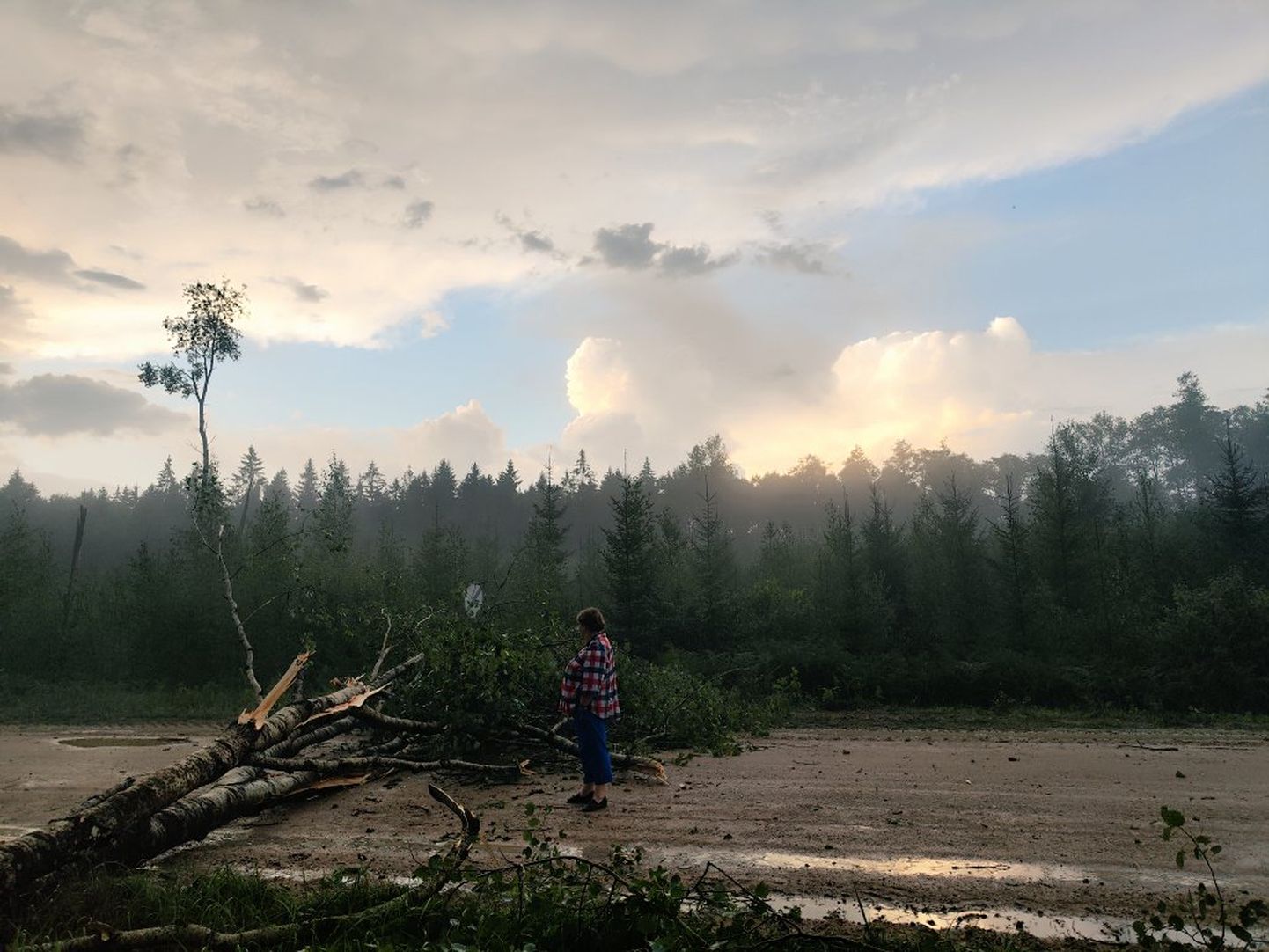 Negaiss Jēkabpils novadā nogāzis kokus, bojājis jumtus un ceļus