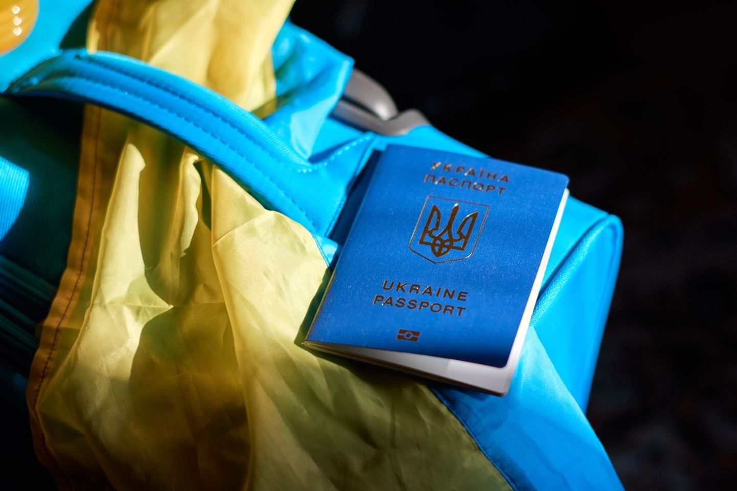 Украинский паспорт, снимок иллюстративный.