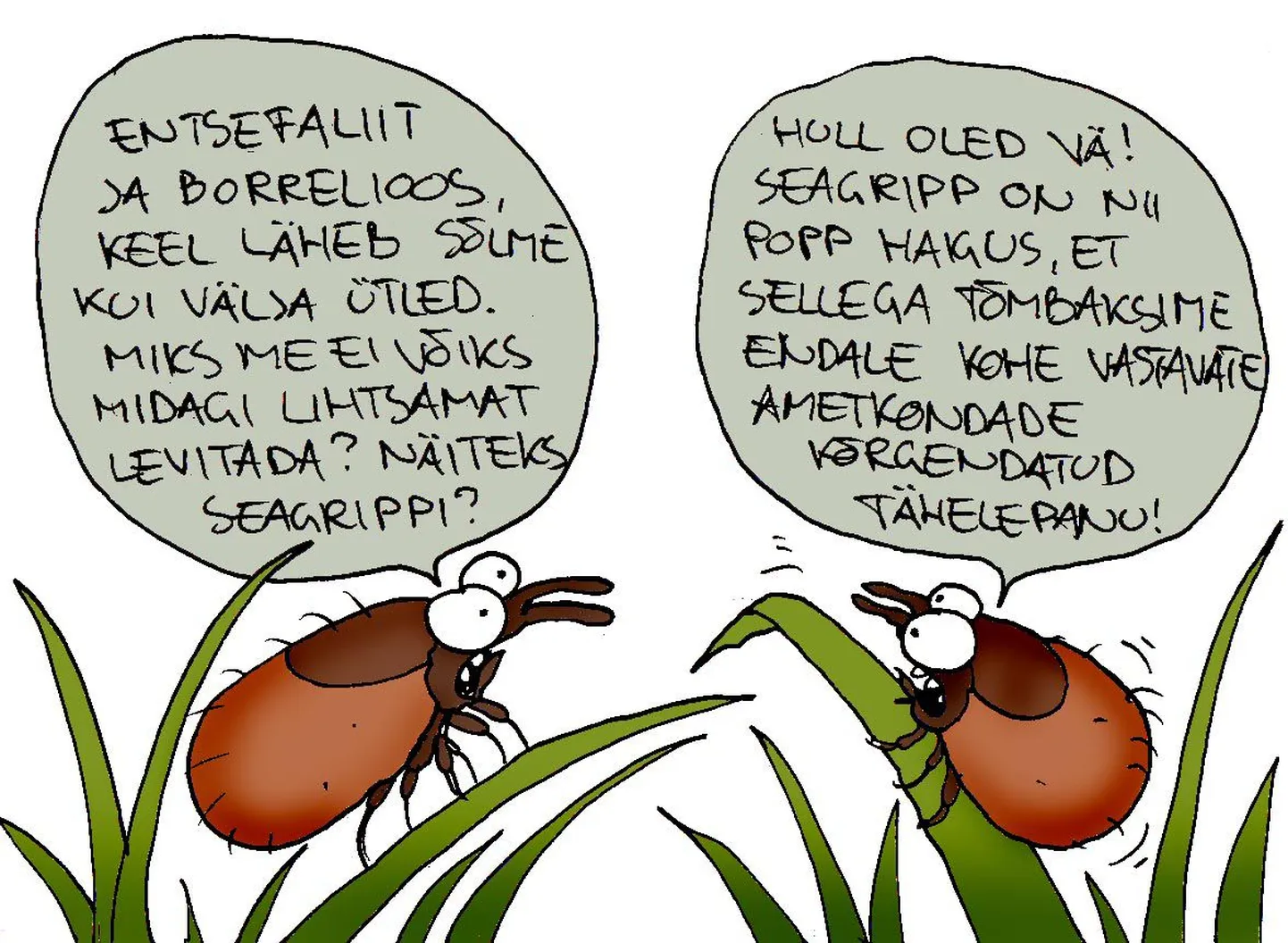 Seagripp.