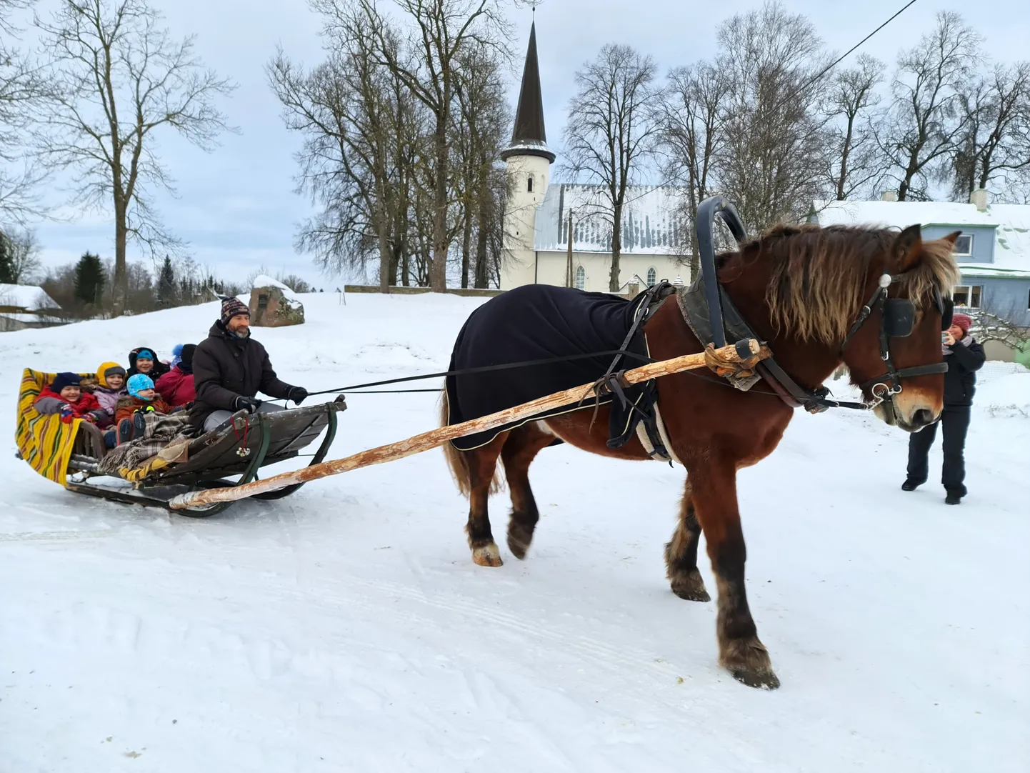 Lühikeseks reesõiduks passis lõppev nädal väga hästi: krudisev lumi, härmas puud ja krõbedavõitu külmakraadid.