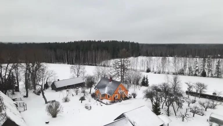 Фото статьи