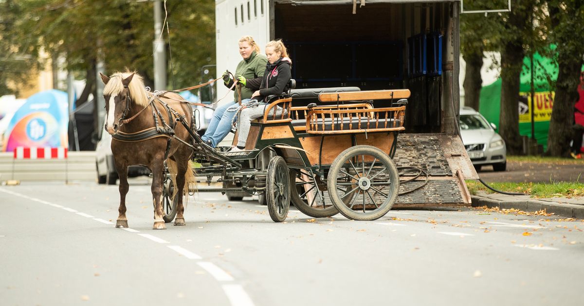 Tänavune autovaba päev peetakse Balti jaama ümbruses