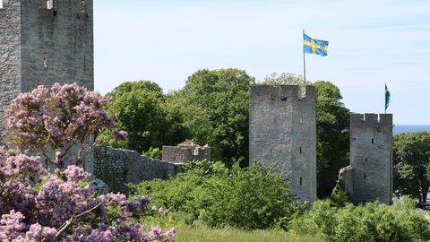 GOTLAND VALMISTUB: ⟩ «On oht, et Venemaa muutub meeleheitlikuks»