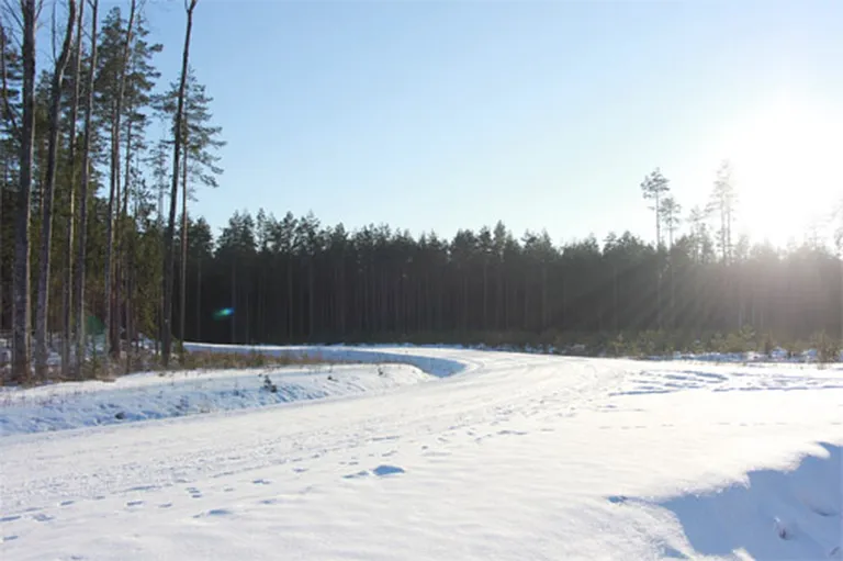 Raksta foto