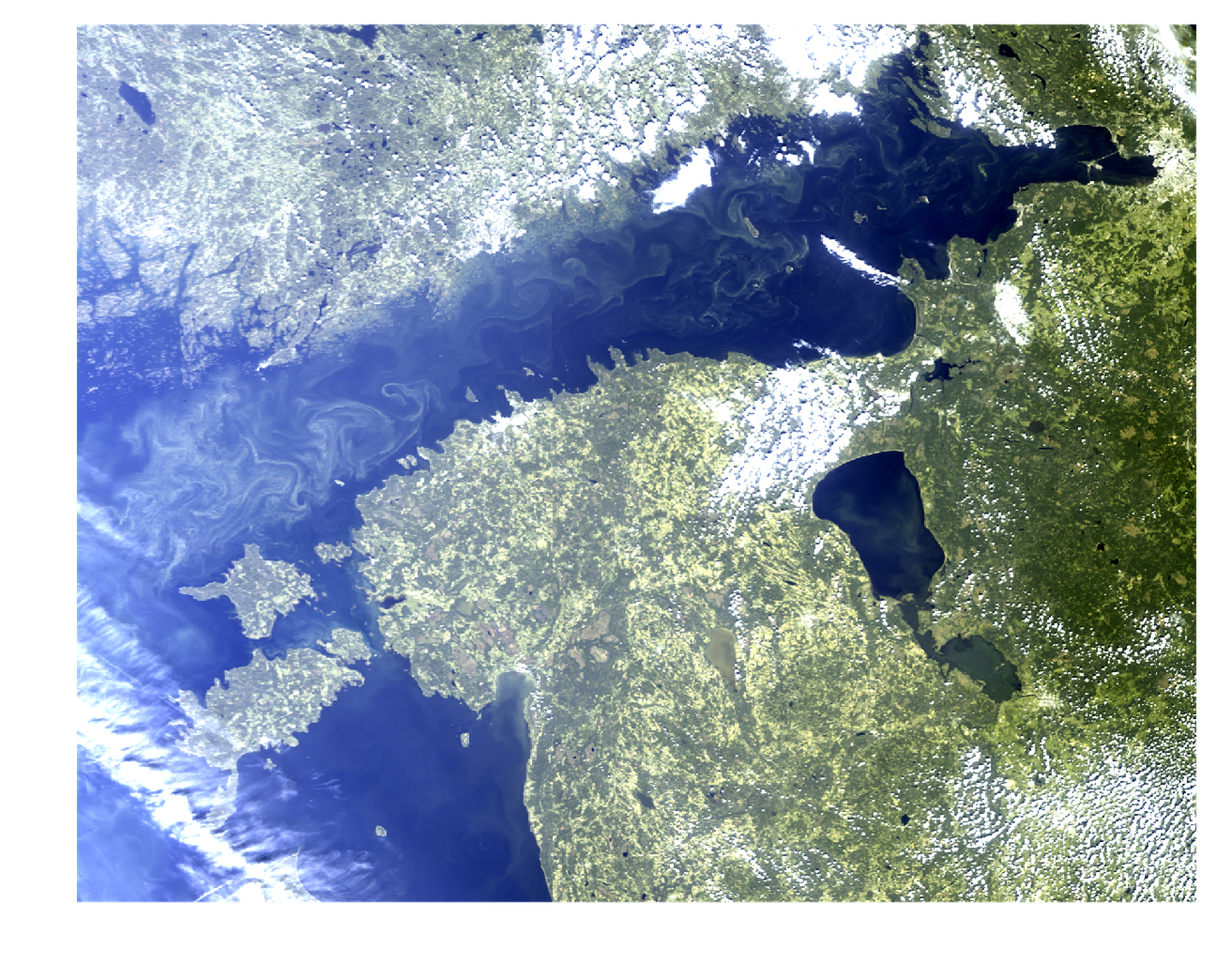 Sinivetikate õitseng Läänemere piirkonnas nädalal 29