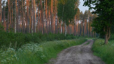Darba nedēļa noslēgsies ar vasarīgiem laikapstākļiem, taču brīvdienās laiks mainīsies