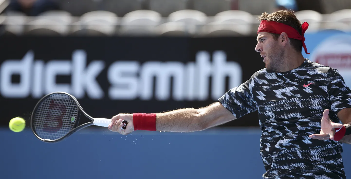 Juan Martin del Potro.