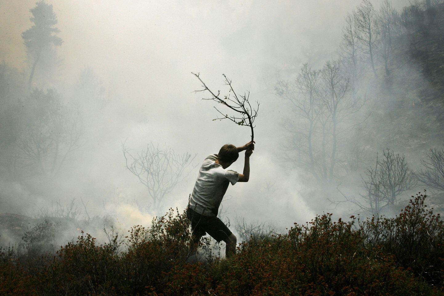 Metsatulekahju Kreekas.