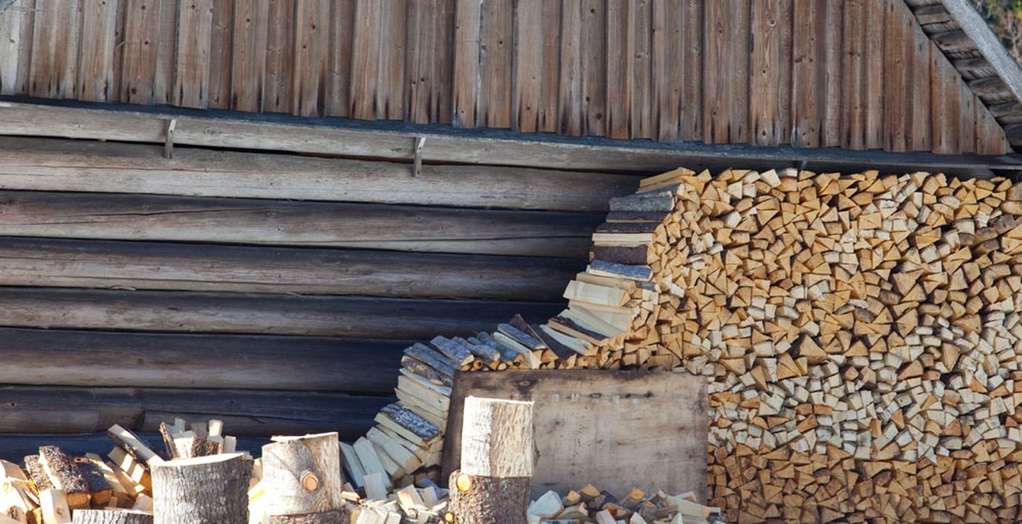 Sügiseks ja talveks küttepuid ostes tasub lisaks hinnale võrrelda ka puuliikide   kütteväärtust.