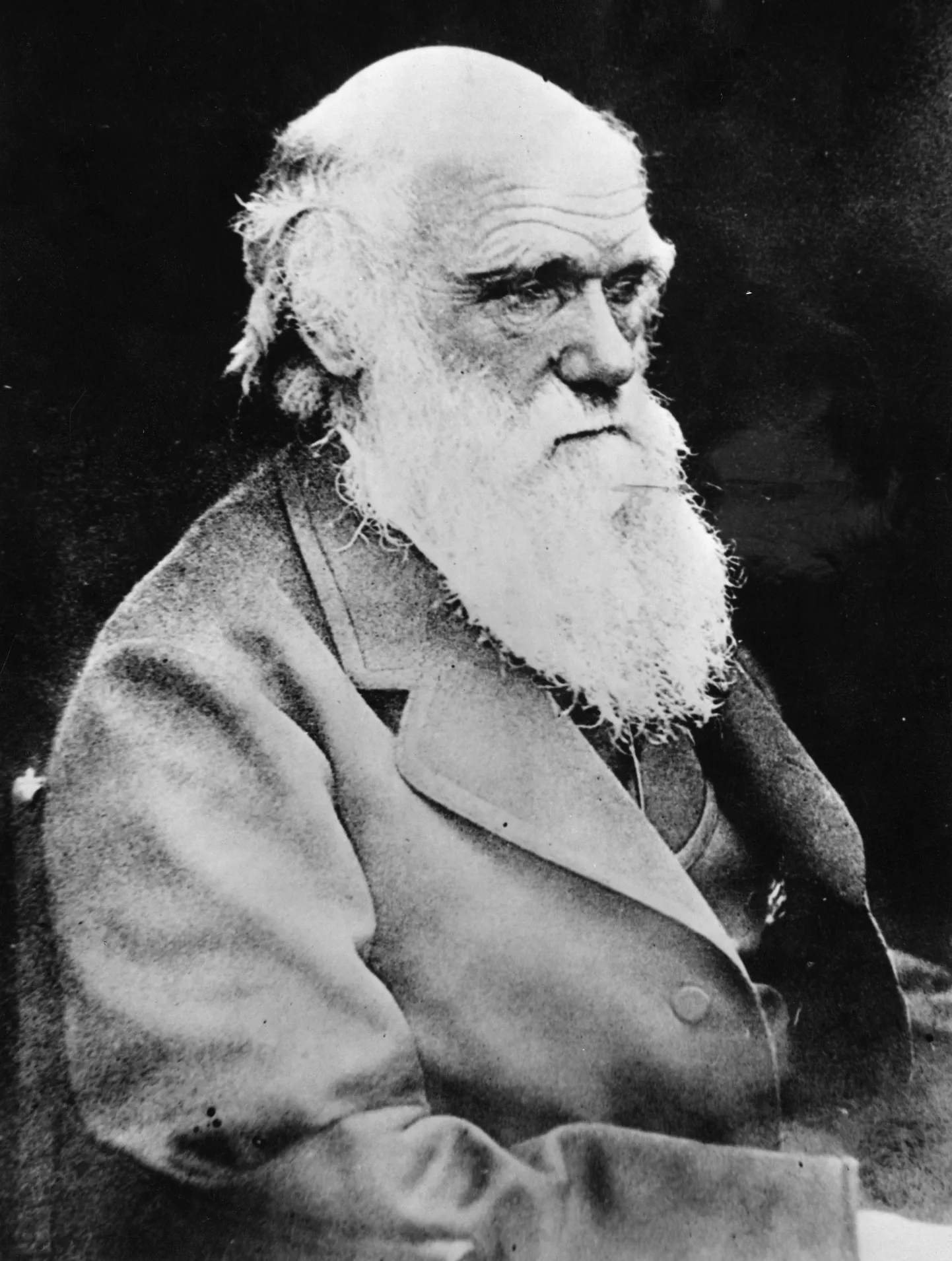Charles Darwin