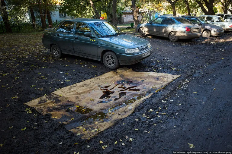 Фото статьи