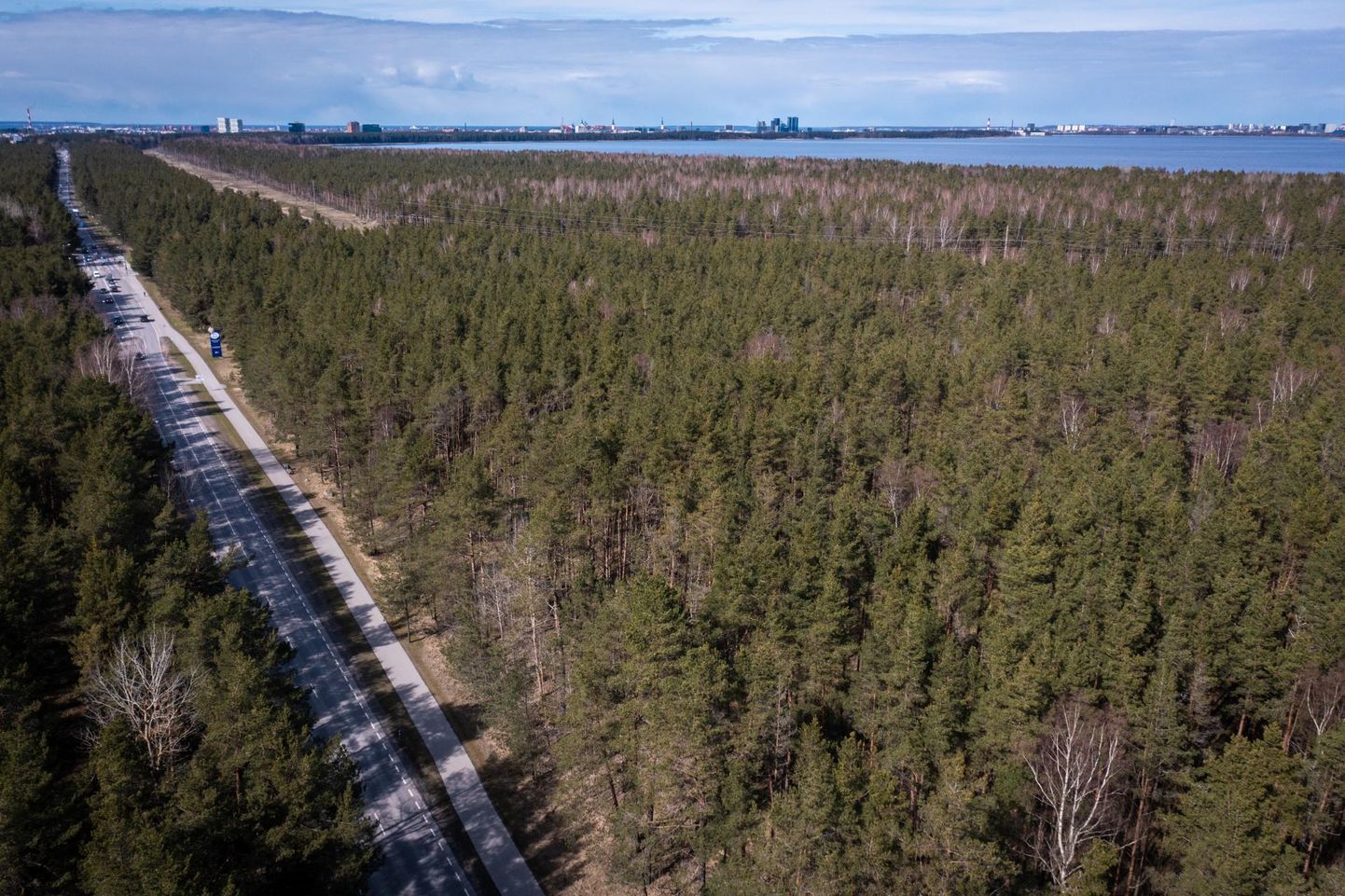 Viljandi maantee ääres Raudalus asub linnale kuuluv metsaga kaetud kinnistu, kus üks arendaja tahab liivakarjääri avada.