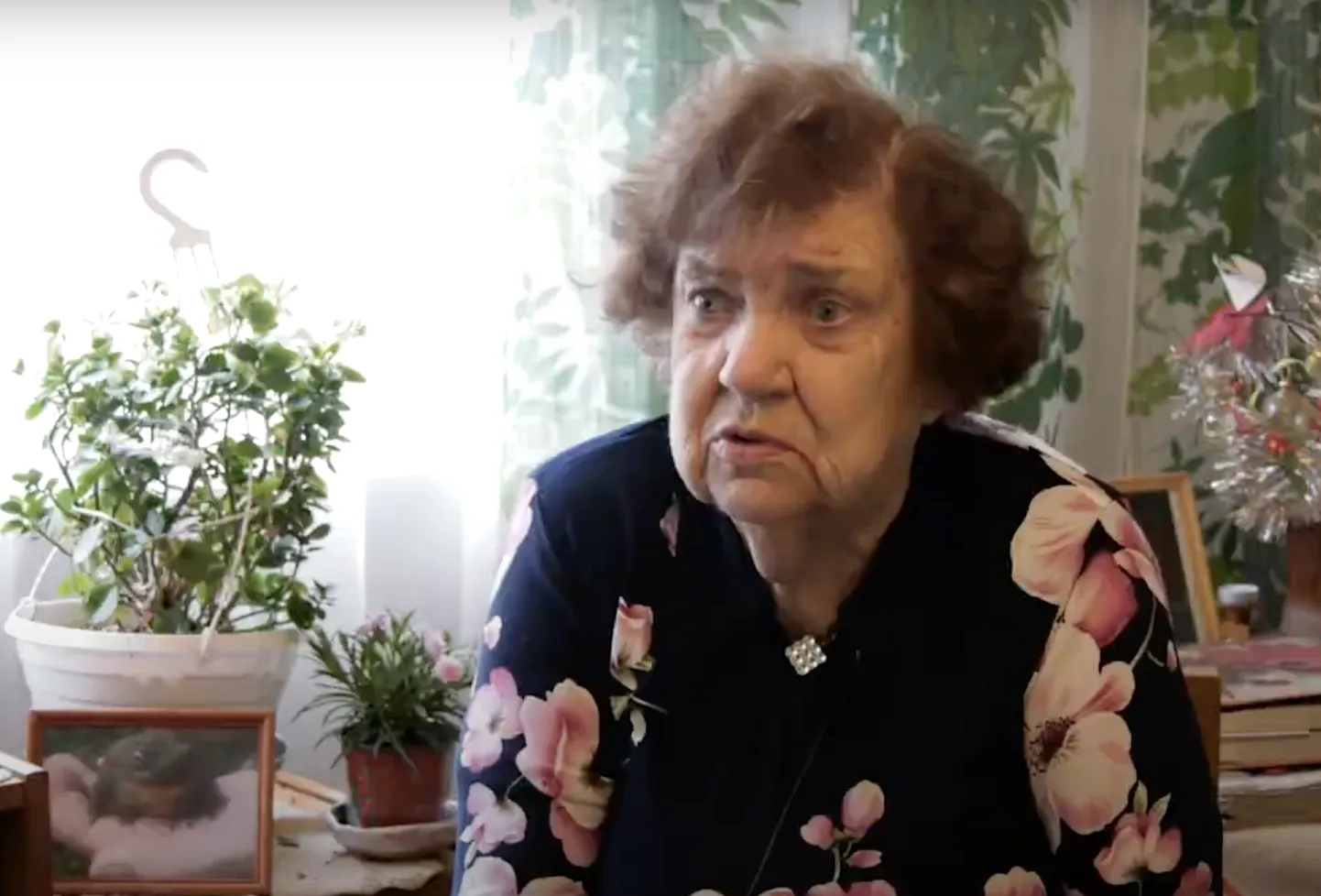 Lapselapsele maja kinkelepinguga kinkinud Aino.