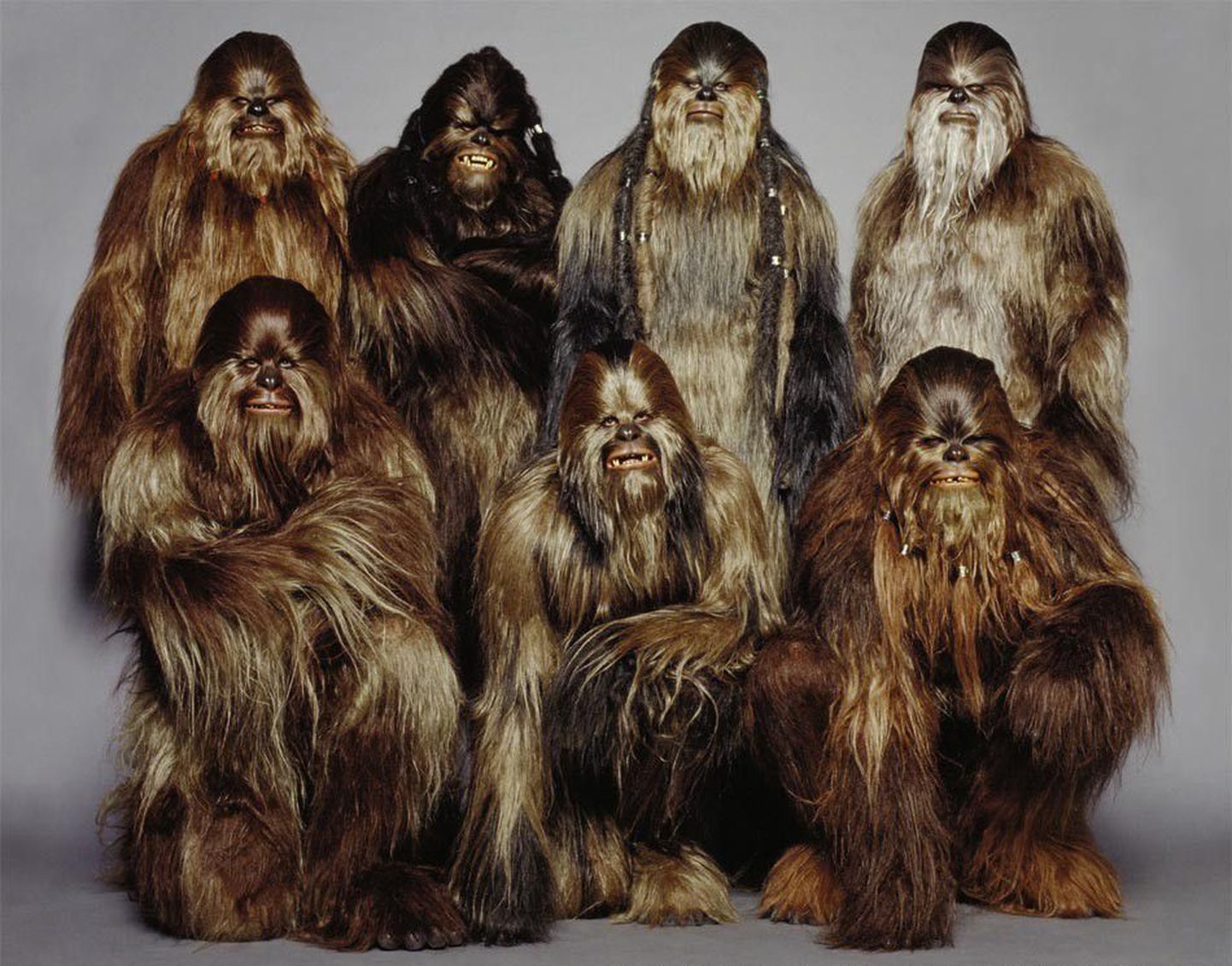 Wookie sõdalased