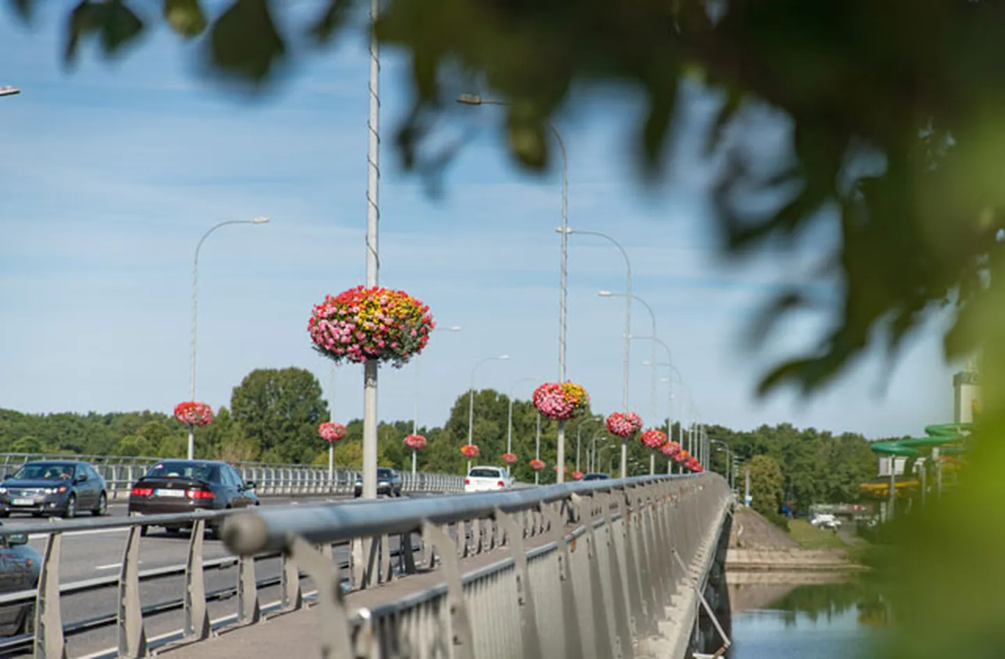 Фото статьи