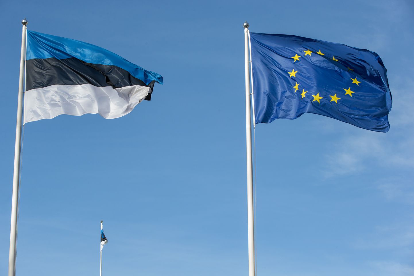 Euroopa Liidu ja Eesti lipud.