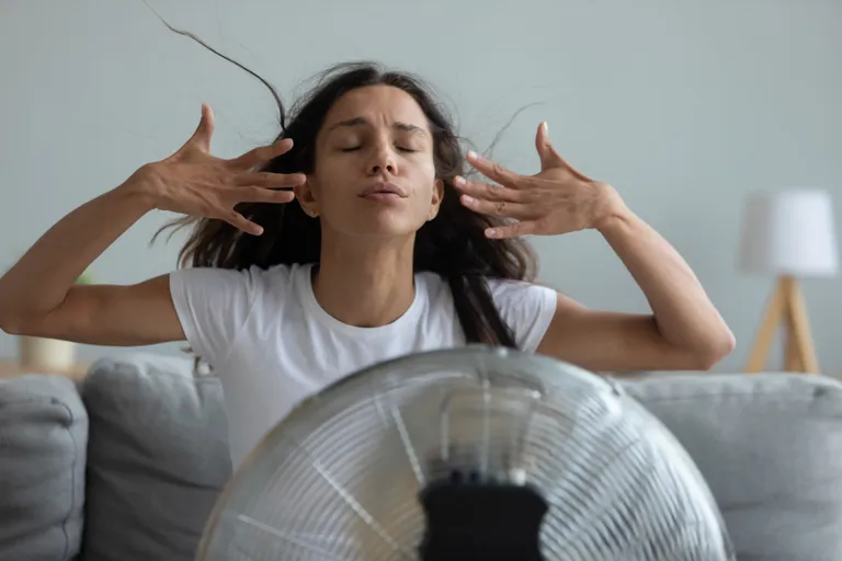 Ventilaator on veidi inimsõbralikum jahutaja kui konditsioneer.
