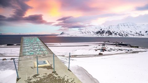 Teravmägedel enneolematu sula – mis saab sealsest kuulsast üleilmsest seemnehoidlast?