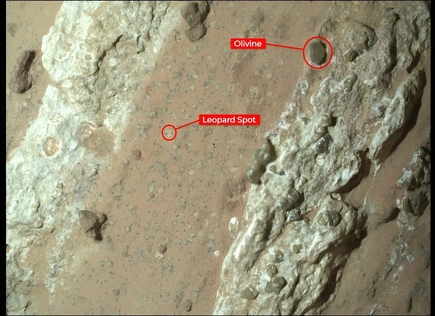 „Cheyava Fallsi“ pildi kommenteeritud versioon näitab leopardilaikude sarnaseid märke, mis on teadlasi eriti paelunud, ja kivimites sisalduvat oliviini. Pildi jäädvustas NASA Marsikulguri Perseverance WATSONi instrument 18. juulil.
