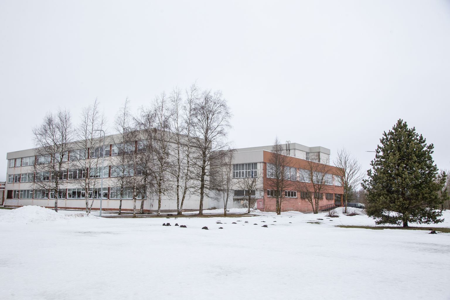 Среди школ Люганузеской волости в самой большой инвестиции нуждается Кивиылиская русская школа. По оценке ТОО "Cumulus Consulting", на обновление школьного здания потребуется шесть миллионов евро.