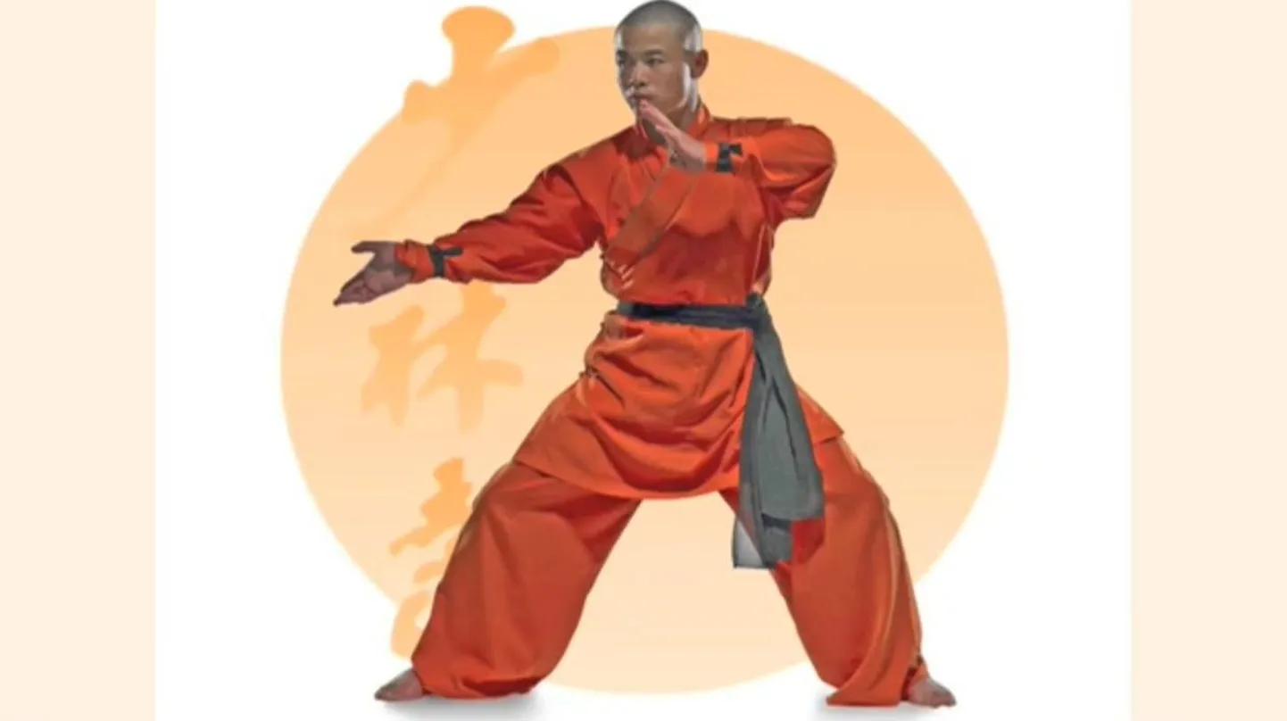 Shifu Yan Lei