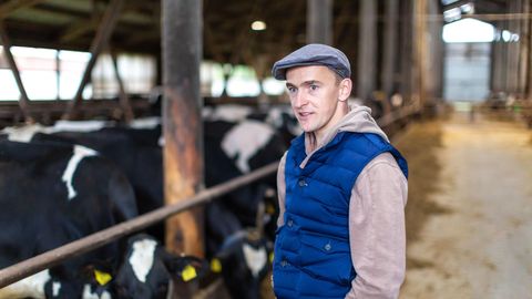 Põllumehed peavad üliodavat piimahinda solvavaks