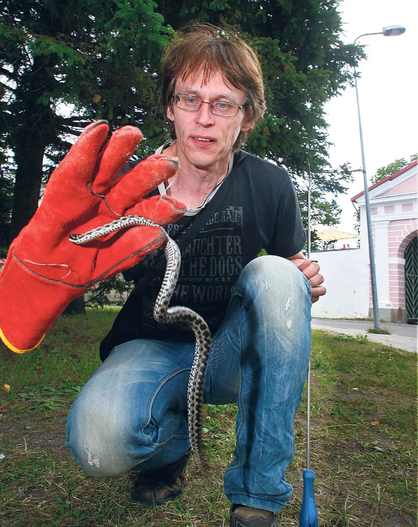 Peeter Põldsam paneb rästikuid püüdes kätte keevitaja kinda, sest õhemast hammustab madu läbi. Pildistamise ajaks tõi ta oma minizoost välja Tšetšeenia päritolu rästiku.