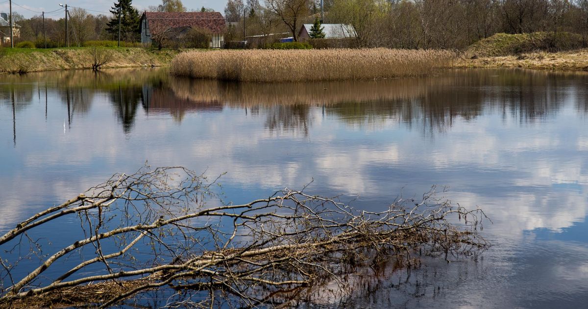 Eesti üks reostunumaid jõgesid puhastatakse ja muudetakse keskkonnale ohutuks