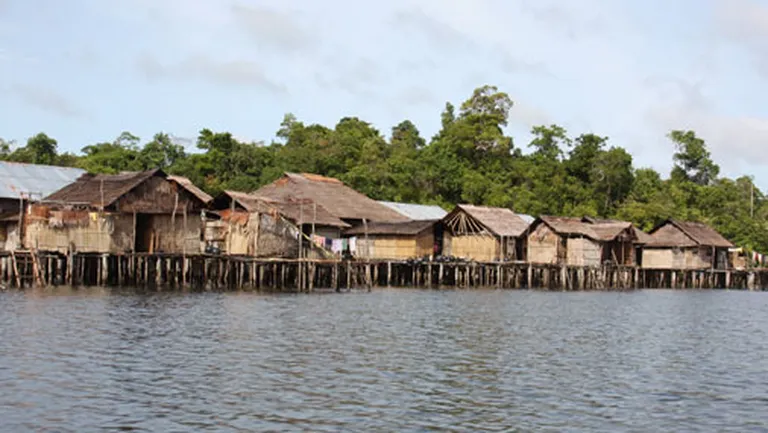 Tipisks papuasu ciemats upes krastā. Biga upe, Misool sala 
