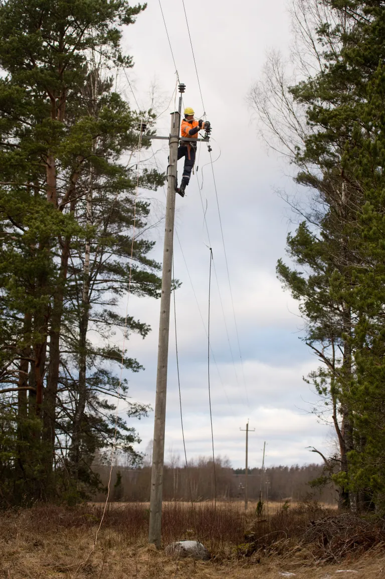 Elektriini remont Kanakülas. Foto: