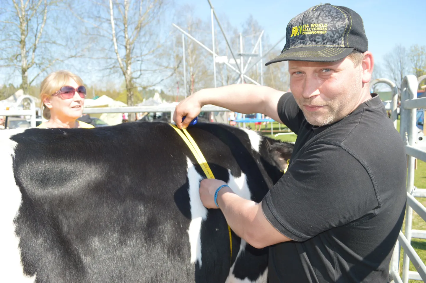 Metsanduses tegev Artur Metsare käis harjutamas veise eluskaalu mõõtmist, sest see tundus talle aladest kõige võõram.