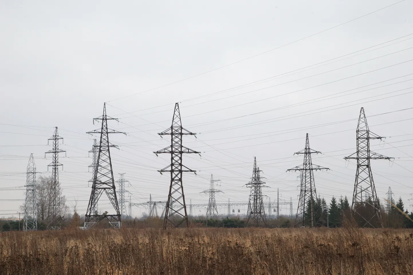 Elering activates key power connection for synchronization.