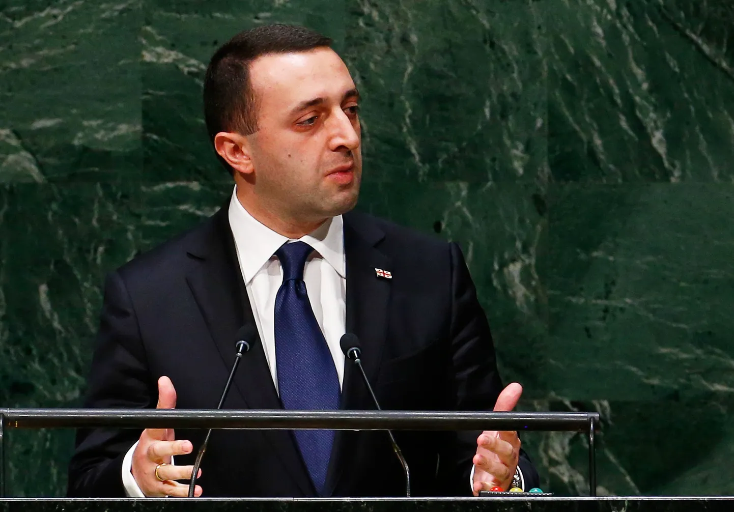 Gruusia peaminister Irakli Garibašvili.