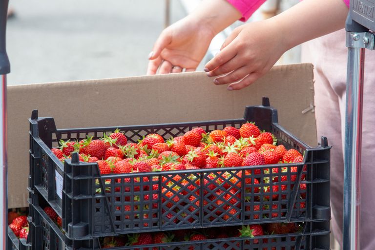 Avaturul müüdavad maasikad.