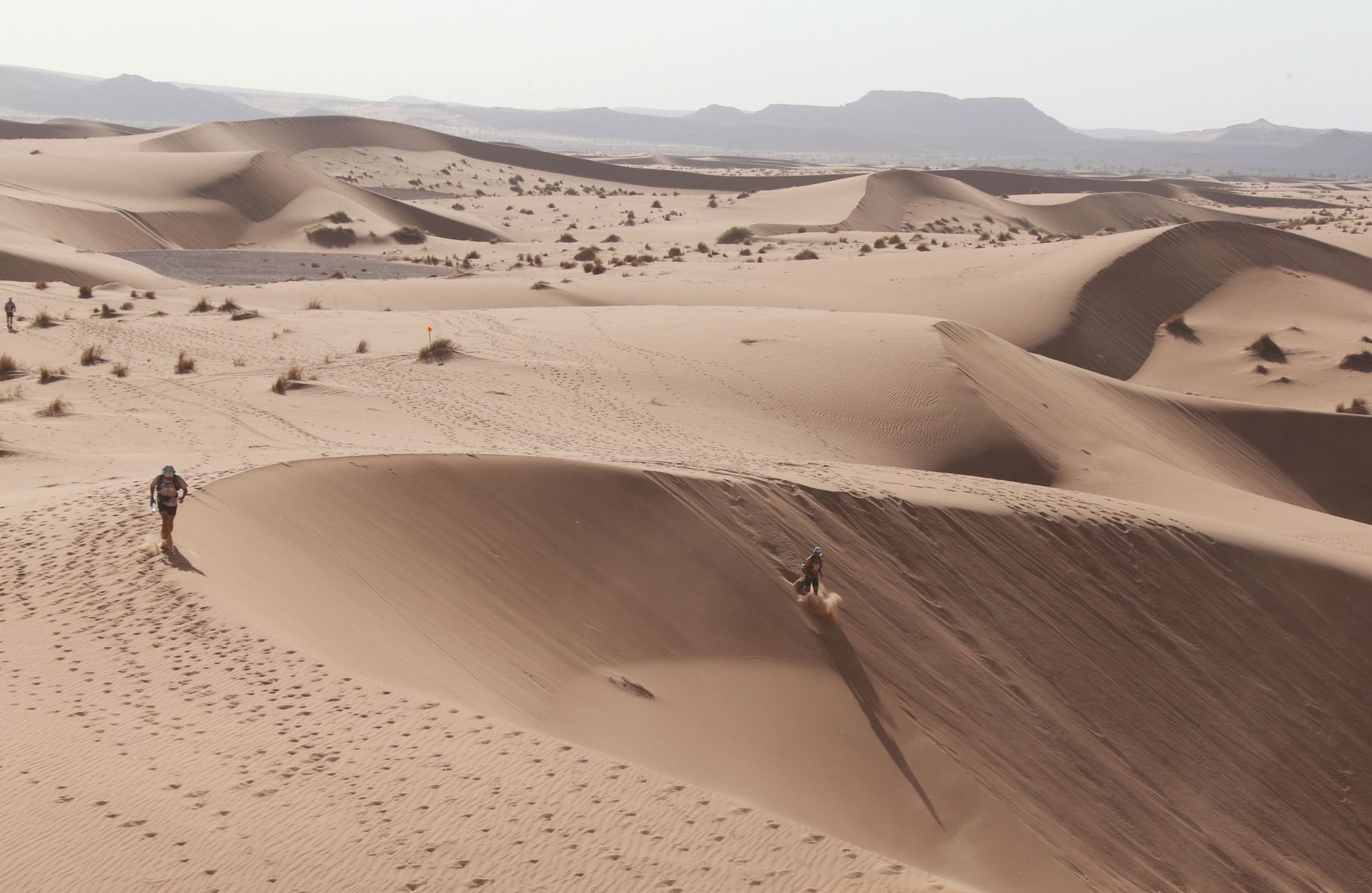 Sahara kõrb