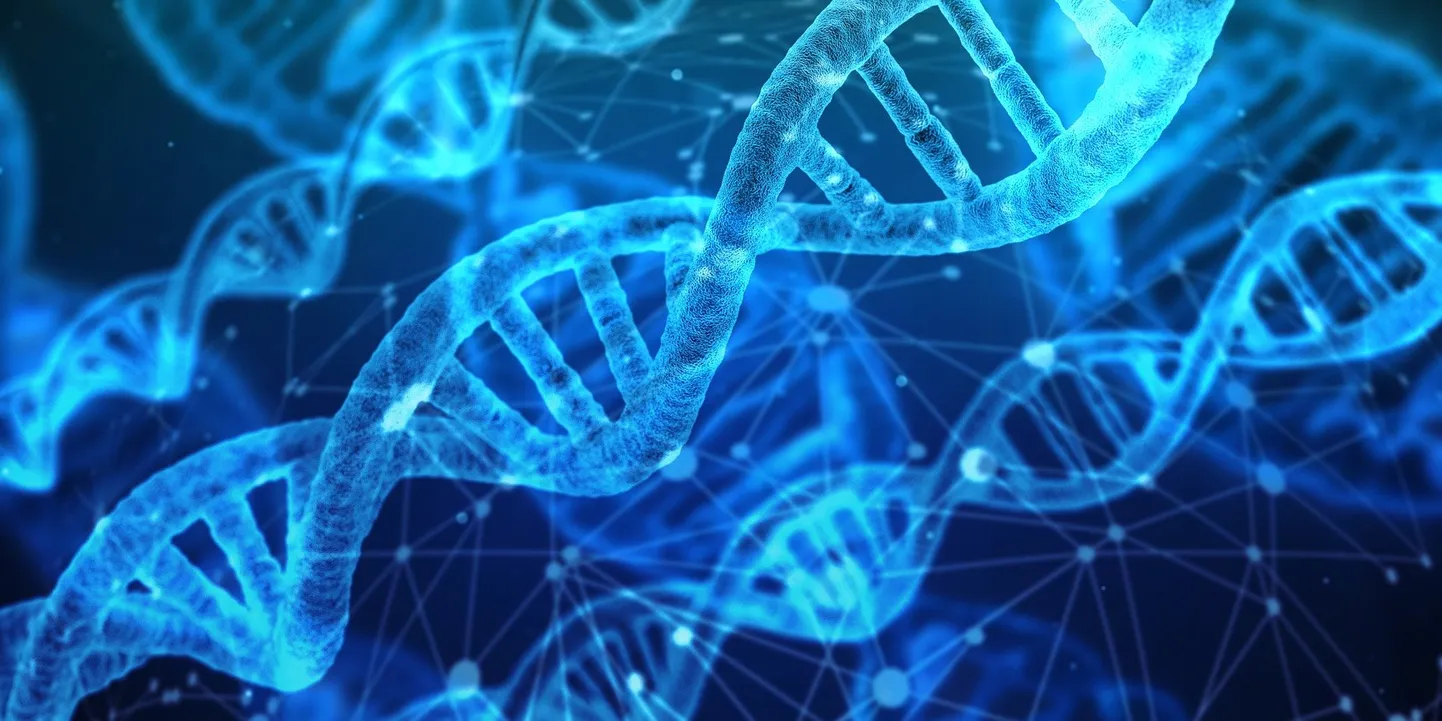 DNA-d täiustades saaks sellest ülitiheda andmekandja.