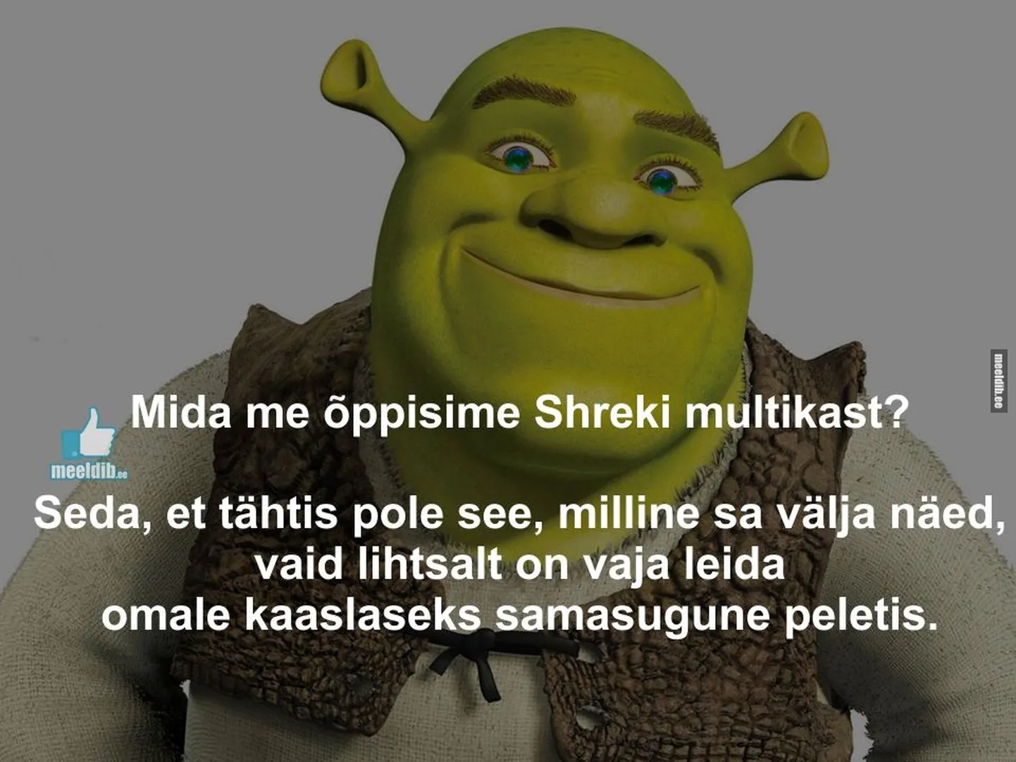 Artikli foto