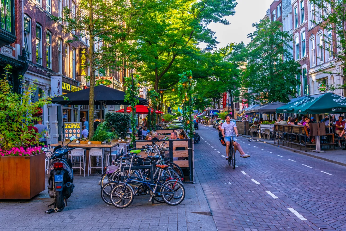 Witte de Withstraat, Rotterdam - также вошла в список журнала Timeout.