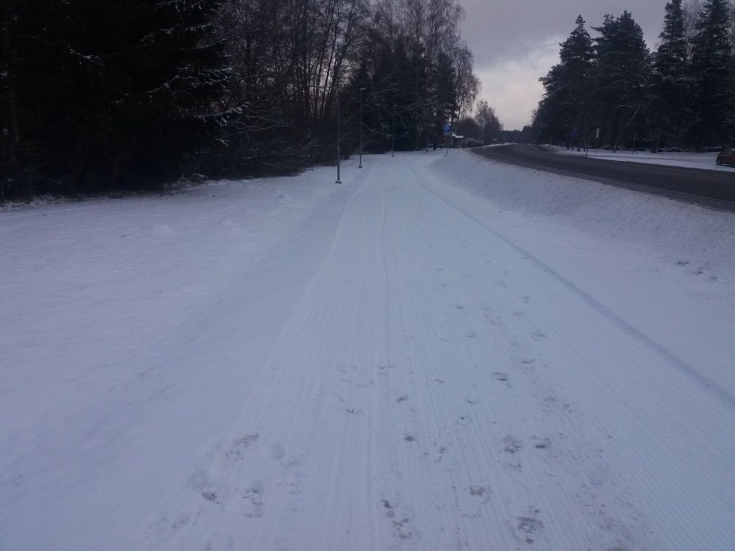 Suusarada Tartu maantee ääres