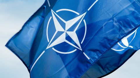 Командующий морской группой НАТО рассказал, есть ли страны, которые могут бросить вызов альянсу