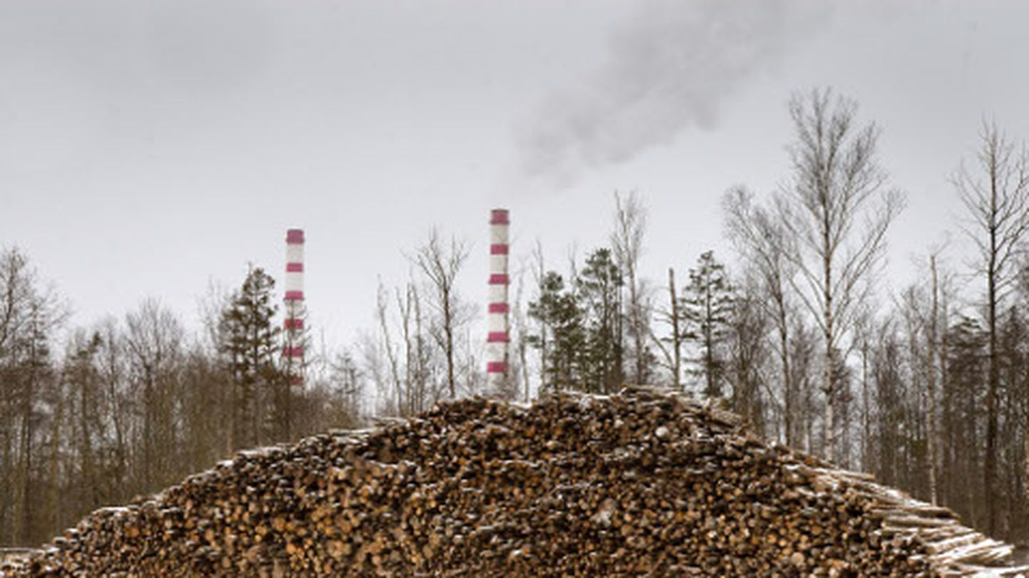Eesti Energia Balti elektrijaam toodab lisaks elektrile ka Narva majadele soojust. Umbes 60 protsenti selle soojuse maksumusest moodustab kerkinud põlevkivihind. Selle pideva kallinemise tõttu otsivad energeetikud katelde kütmiseks taskukohasemaid alternatiive - puidust söeni. Osalt tänu sellele on Narva keskküte endiselt odavaim Eestis.