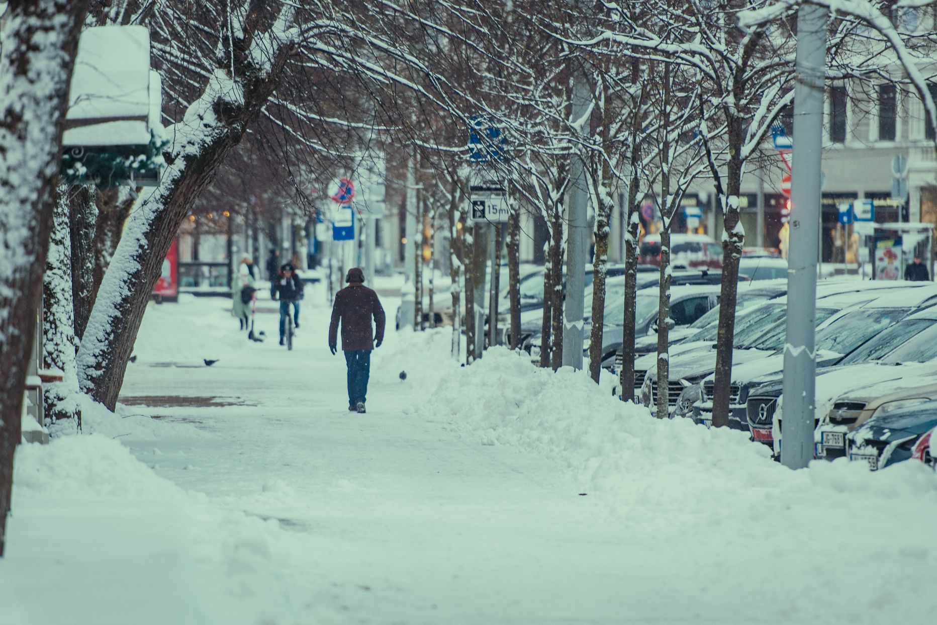 Sniegs Rīgā.