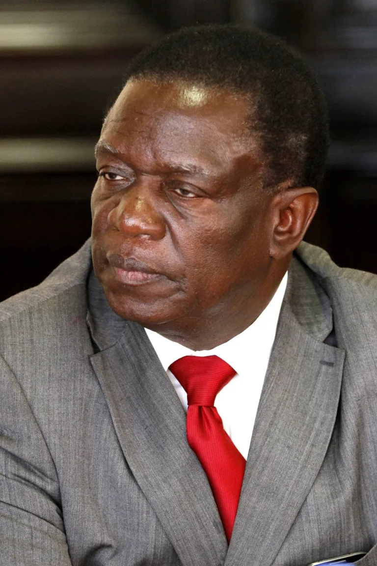 Emmerson Mnangagwa
