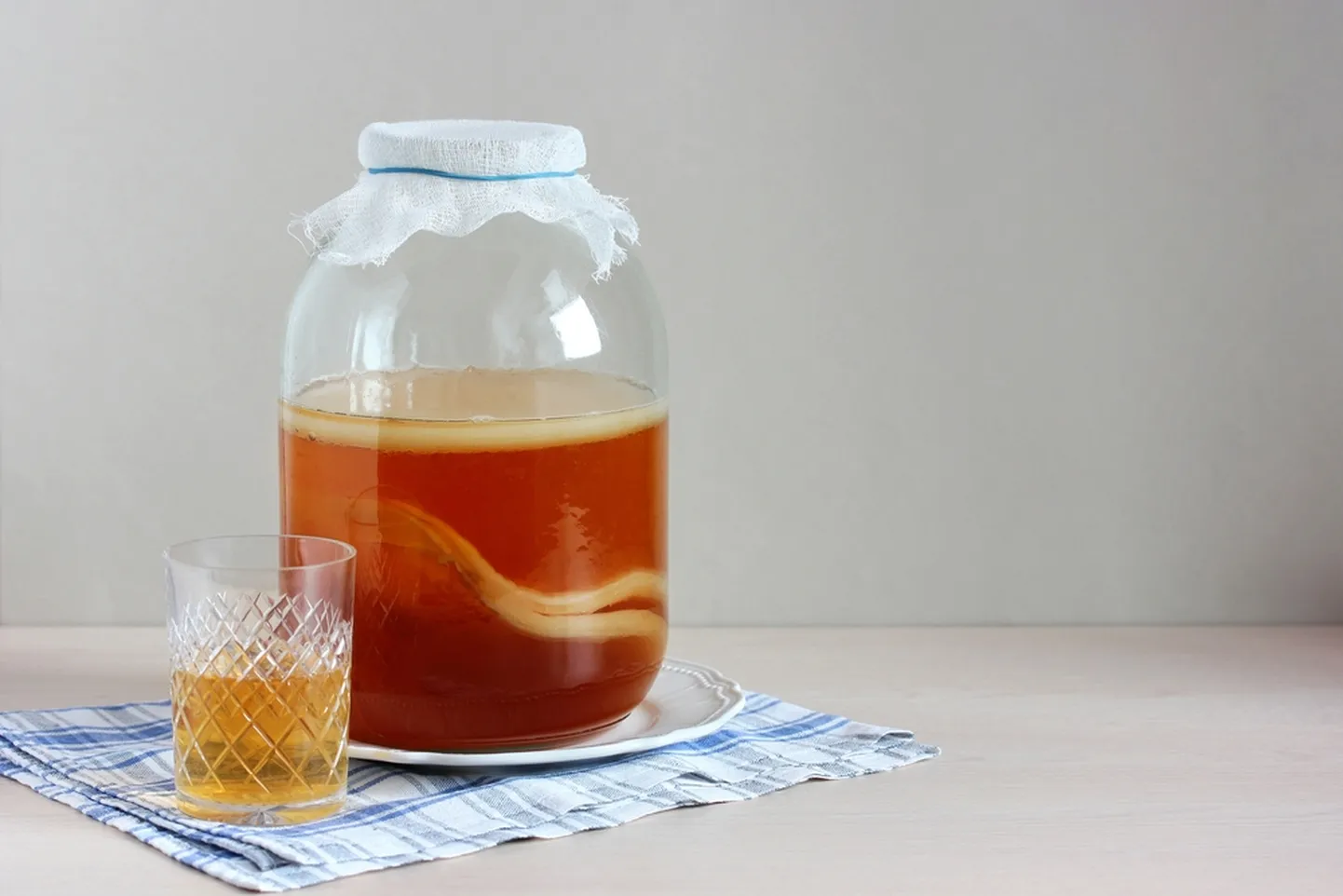 Teeseenejook ehk kombucha