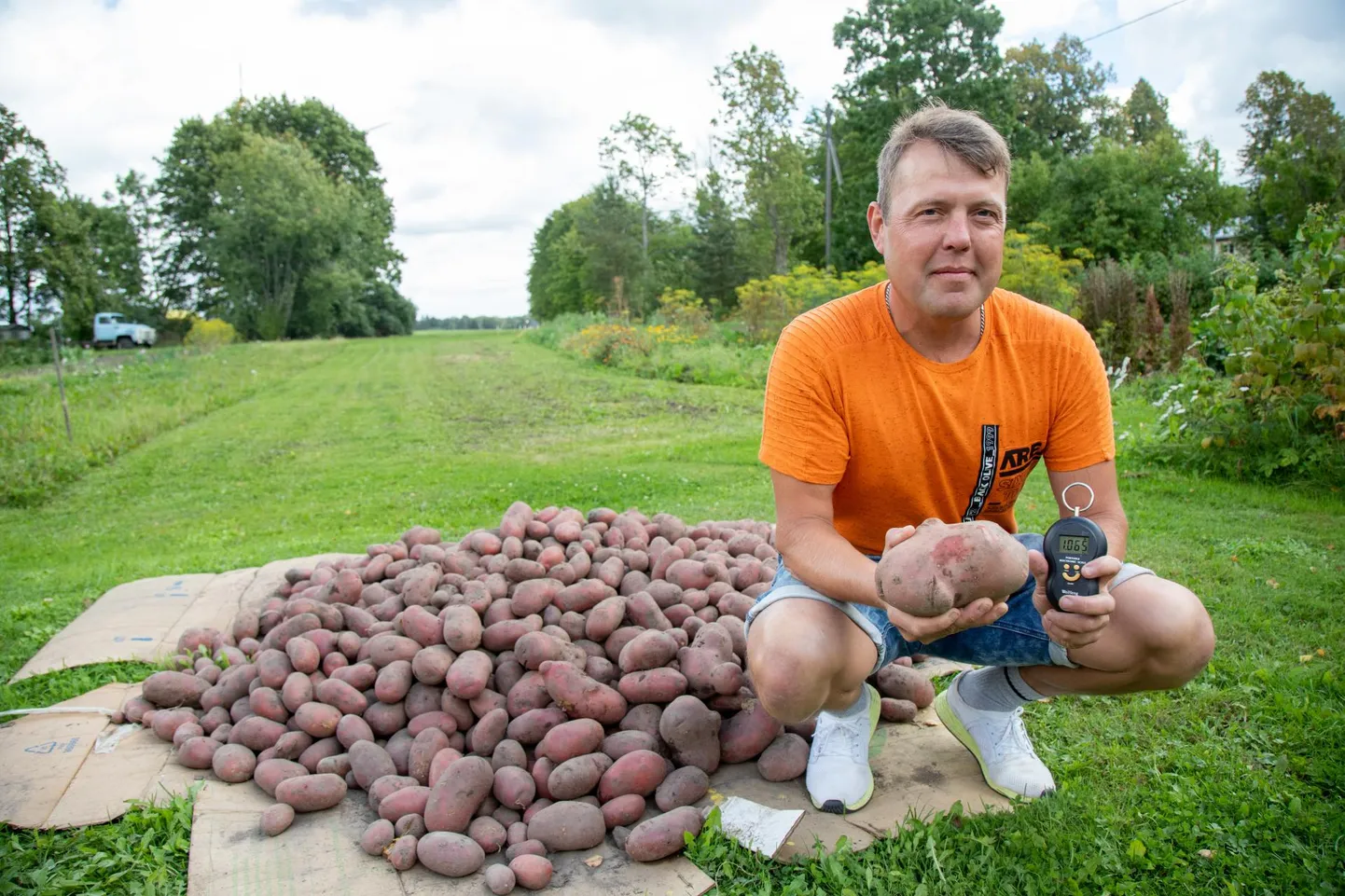 Võhmas elav Ilmar Roosioks kasvatas endalegi üllatuseks väga suure kartulimugula.