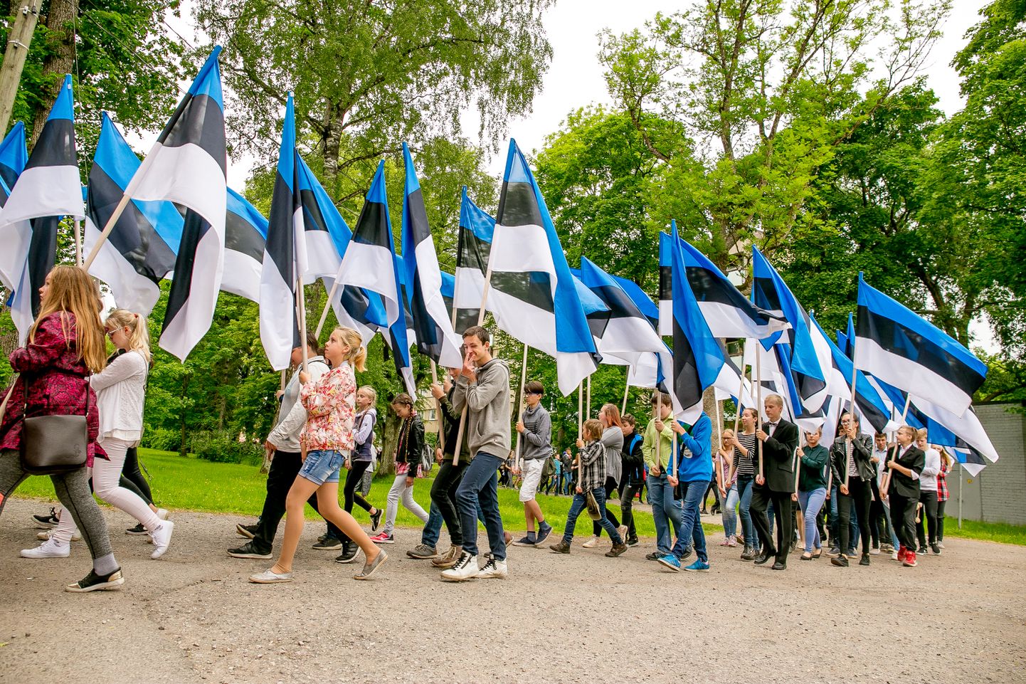 Eesti lipu 134.  aastapäeva tähistamine Sindis. Eesti lipp. Pilt illustreerib artiklit.
