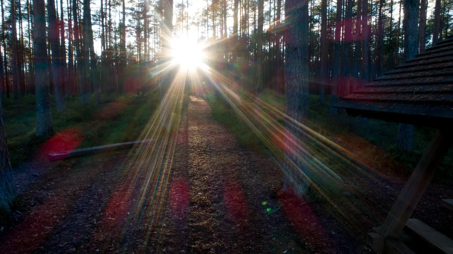 Päikese käes on niisama hea olla, aga ta on vajalik ka aastaaegade arvutamiseks.