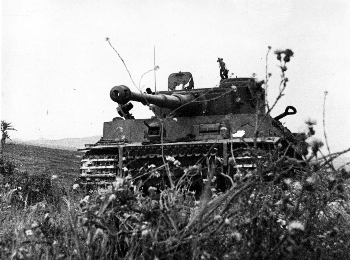 Historians believe many WWII-era German Tiger tanks still lie submerged in the Baltic marshlands.